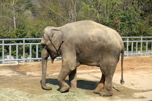 광주 우치공원 동물원