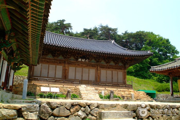 안동서후 봉정사 국화축제 2015