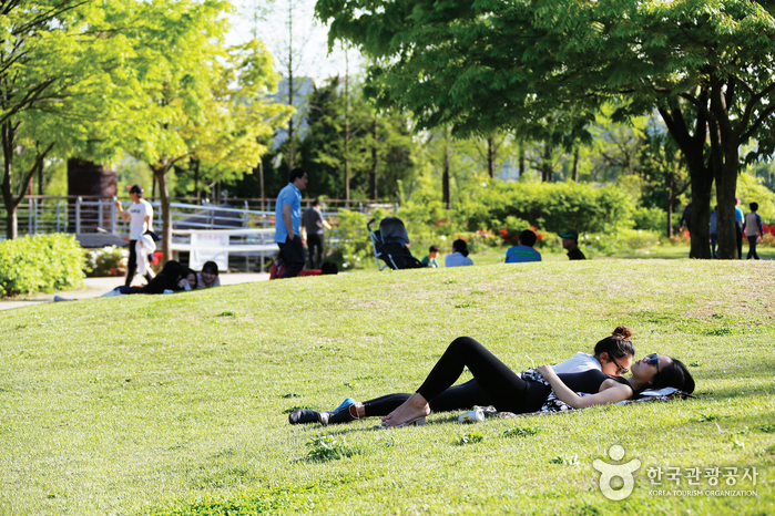 仙遊島公園（선유도공원）