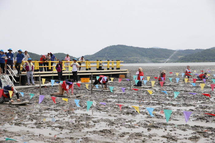 벌교갯벌레저뻘배대회 20184