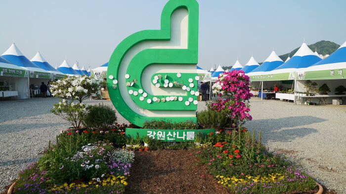 강원 산나물한마당축제 20190