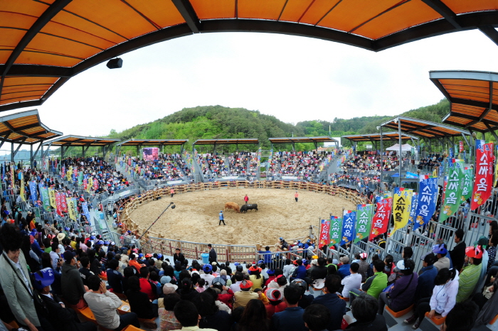 晋州伝統闘牛競技場（진주소싸움경기장）