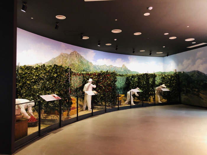 문경 오미자테마공원3