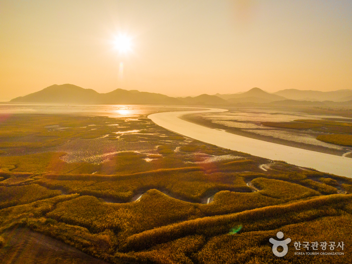 Zone des marais de la baie de Suncheonman (순천만습지)