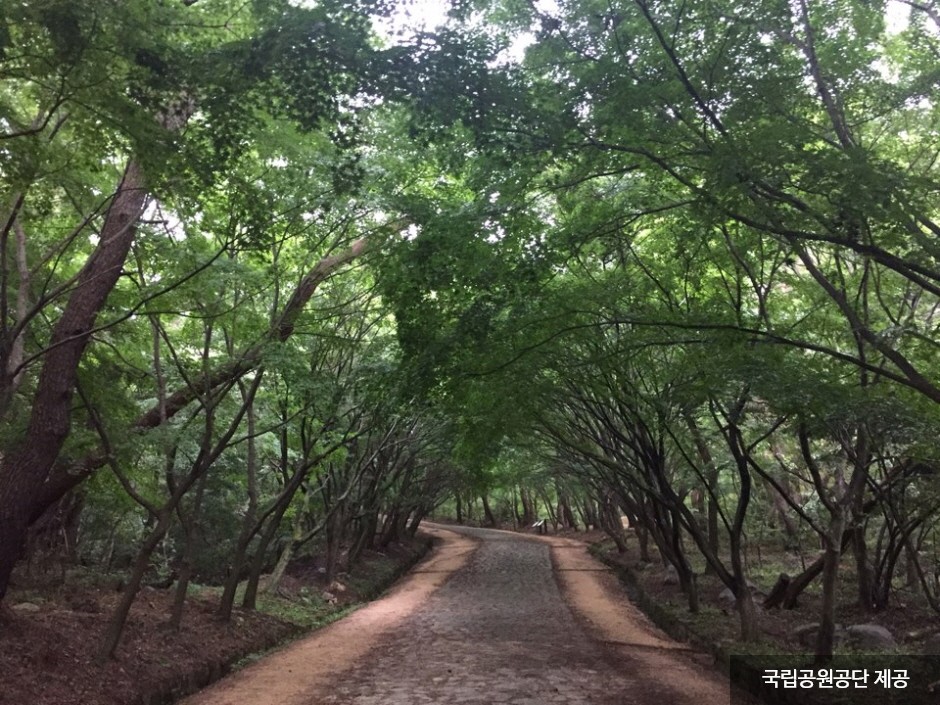 Parque Nacional de Gyeongju (경주국립공원) 3