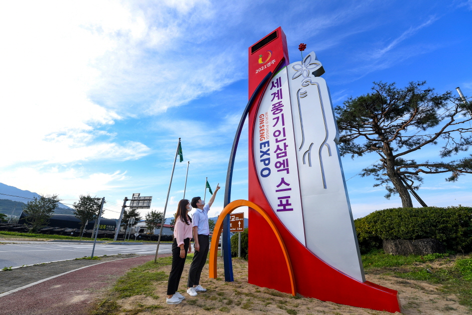 榮州世界豐基人蔘博覽會(영주세계풍기인삼엑스포)