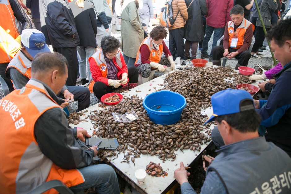 온라인 창원진동 미더덕축제8
