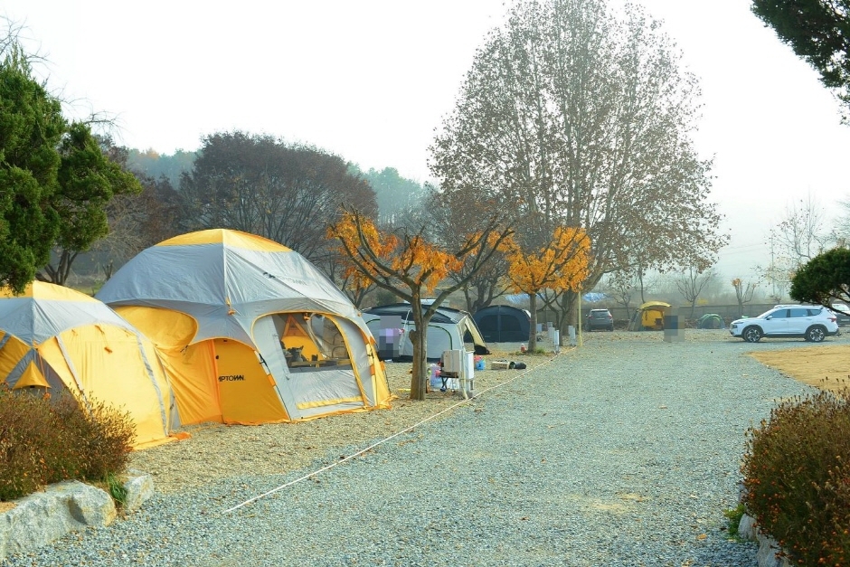 솔부엉이 캠핑장