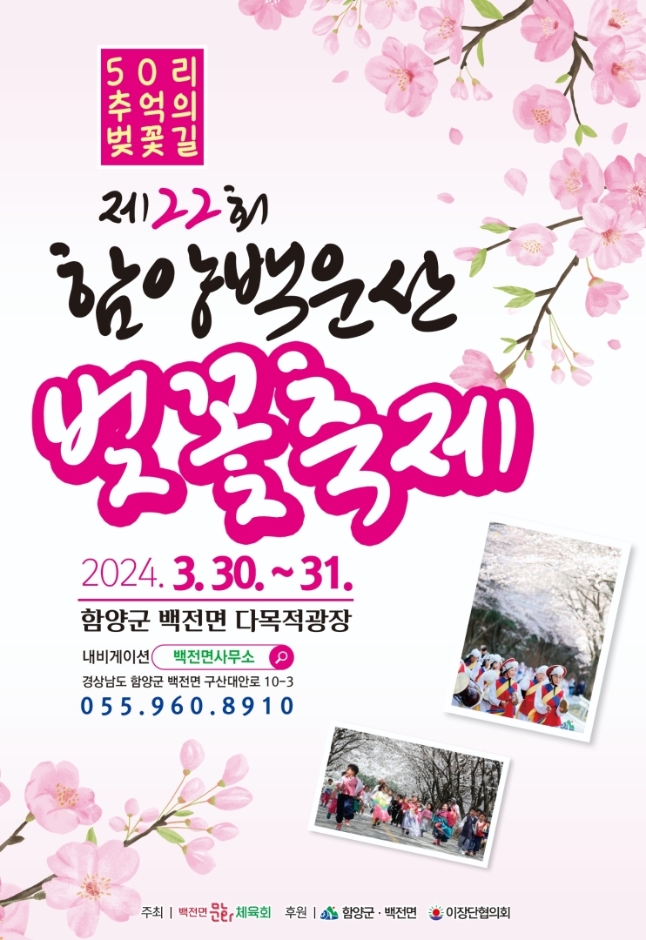 함양 백운산 벚꽃축제