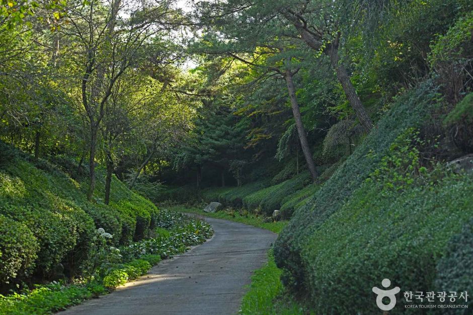 척야산 문화수목원