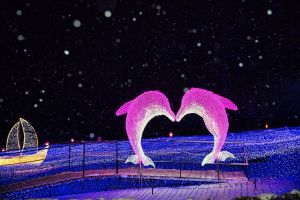2024 아침고요수목원 오색별빛정원전 6