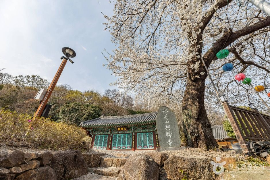 순천_흥륜사(순천) (6)