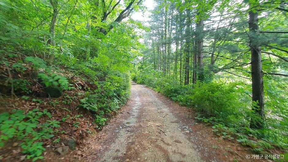 석룡산