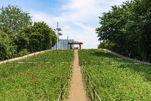 서울_올림픽공원 들꽃마루 (2)