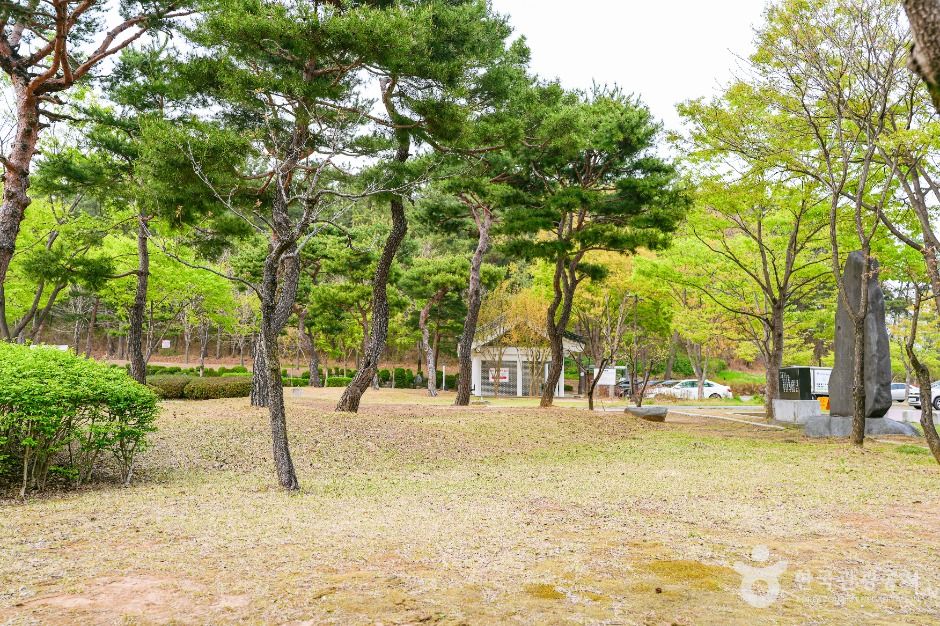 경주_흥무공원 (3)
