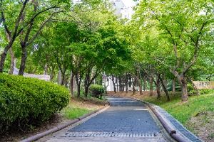 시흥_비둘기공원 (4)