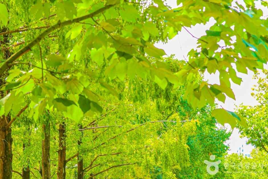 호산공원