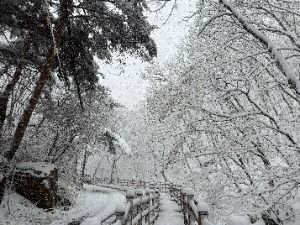 군포_수리산도립공원 (15)