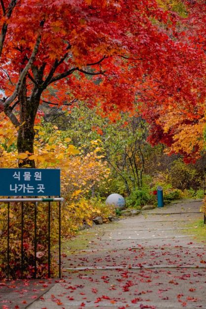 국립한국자생식물원