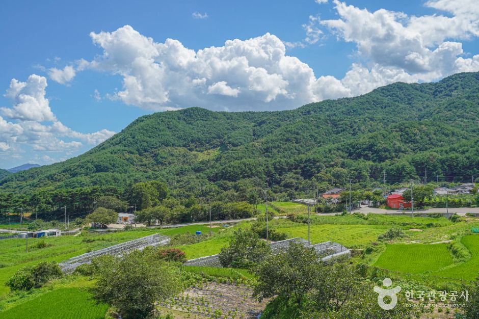 다옴농촌체험휴양마을