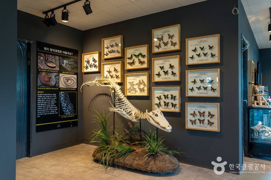 은산어울림생태박물관