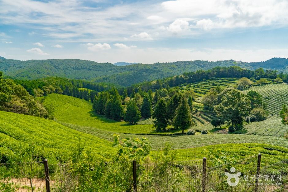 한국차문화공원