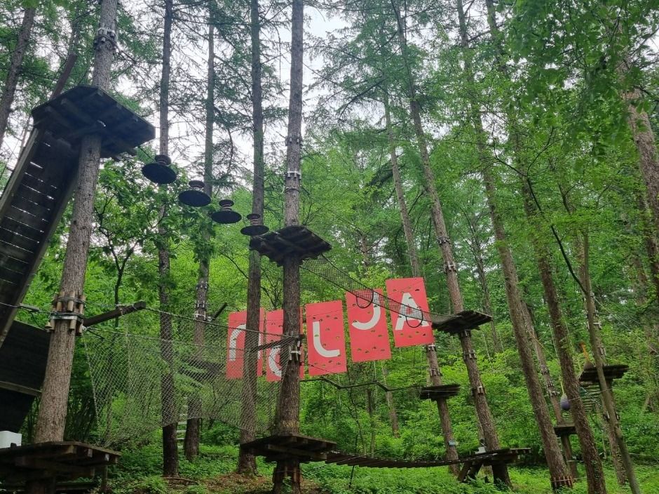 thumbnail-놀자숲-21