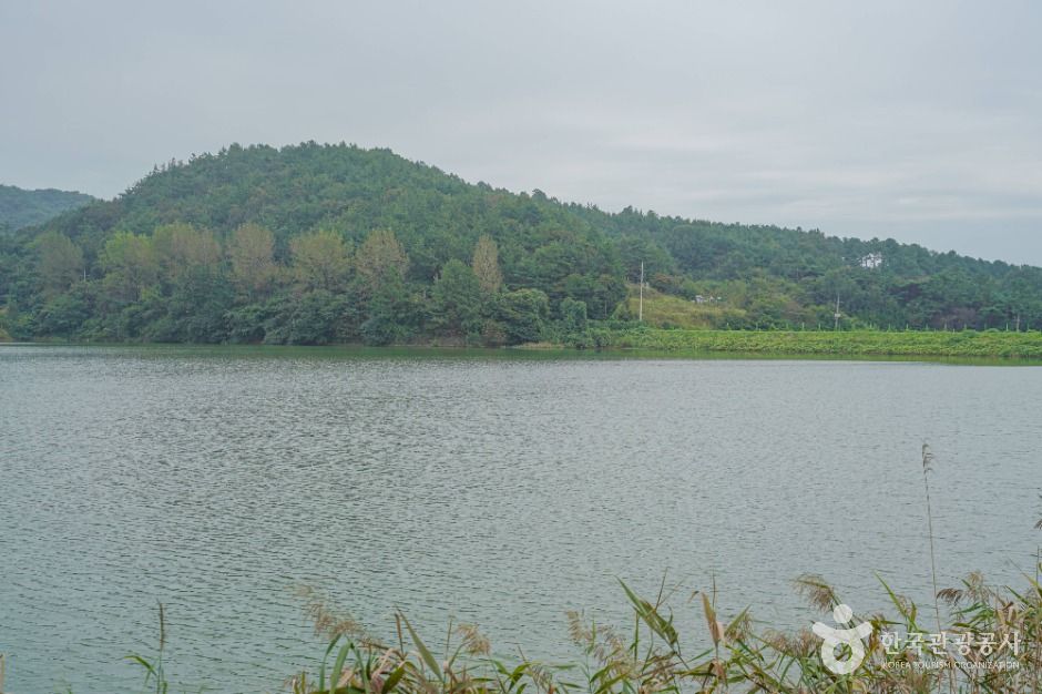 월선체험 휴양마을