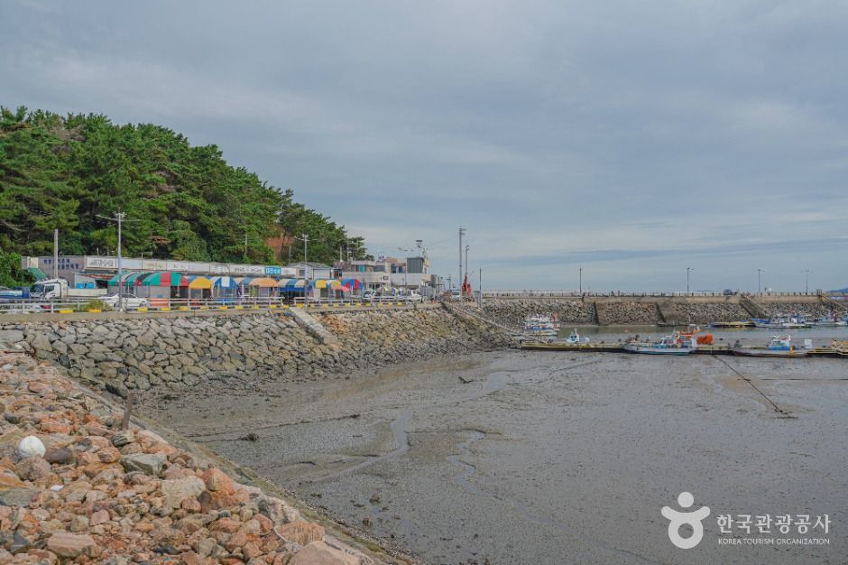 태안_학암포항 (1)