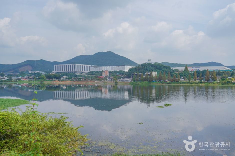 thumbnail-칠곡저수지-9