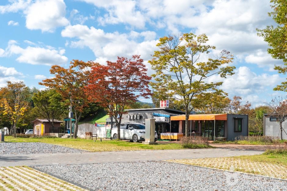 thumbnail-목계솔밭(충주)-2