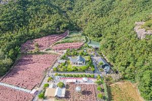 고창_꽃객프로젝트 (2)