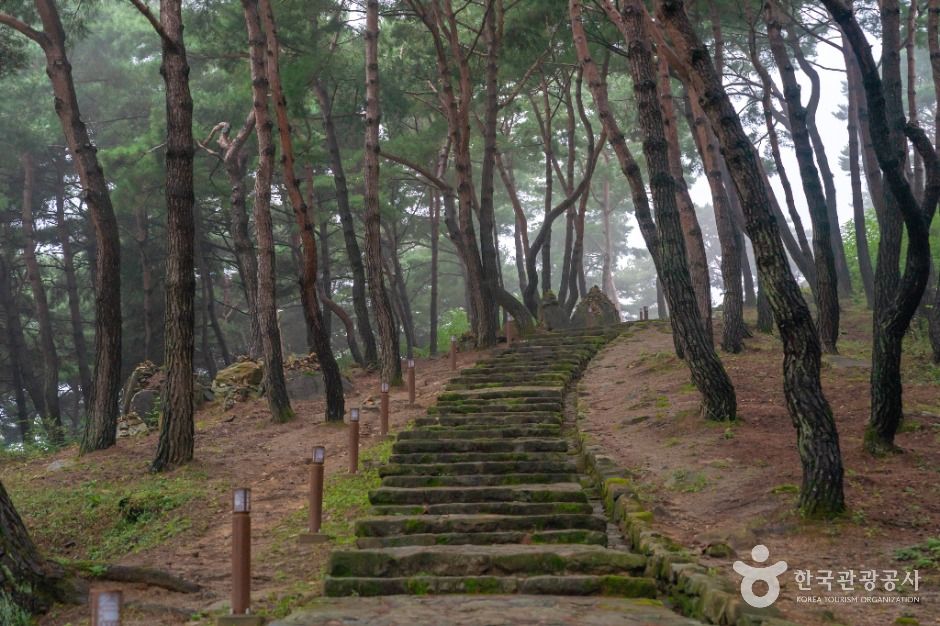 성주 세종대왕자 태실