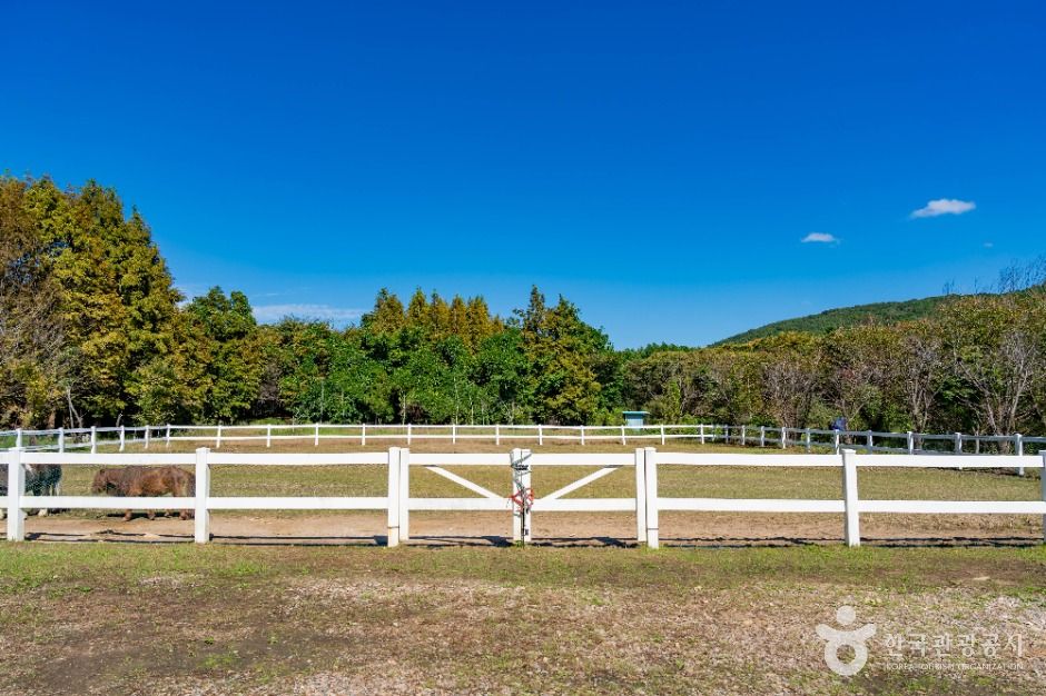 화성_드림아트스페이스 (8)