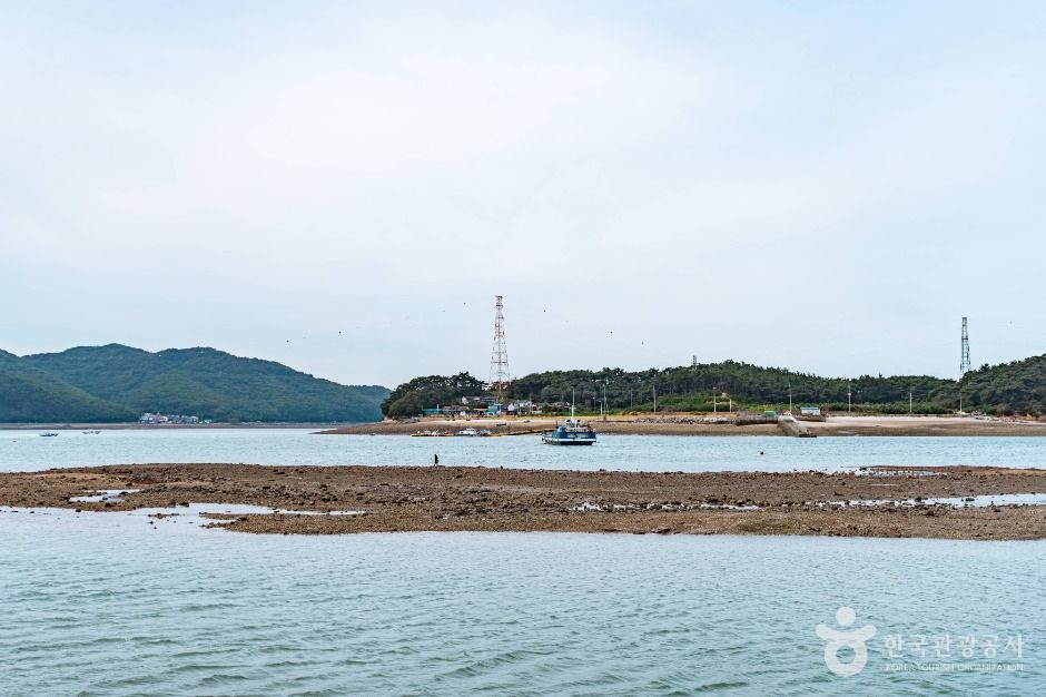 thumbnail-도비도항-2