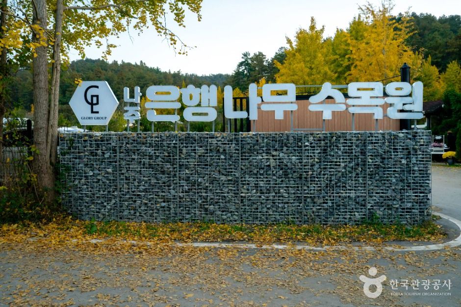 나주은행나무수목원