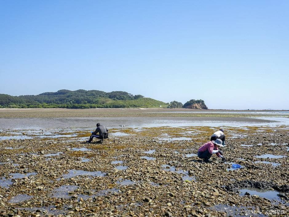 병술만어촌체험마을