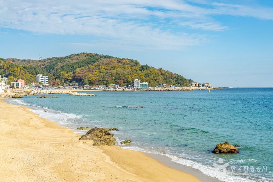 영덕 해안도로 드라이브