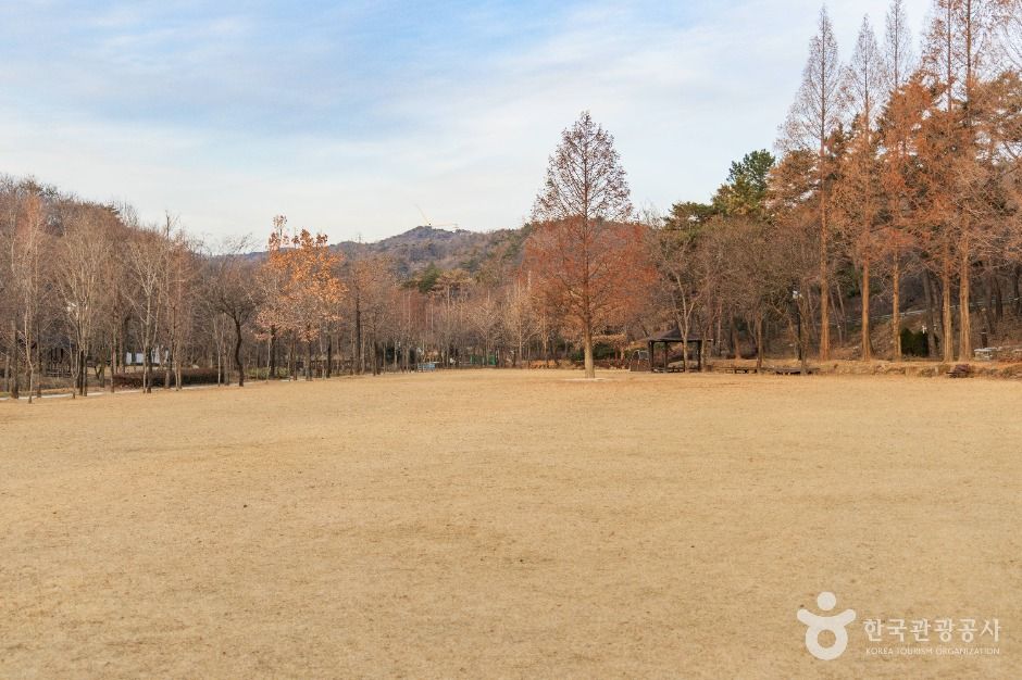 도음산 산림문화수련장