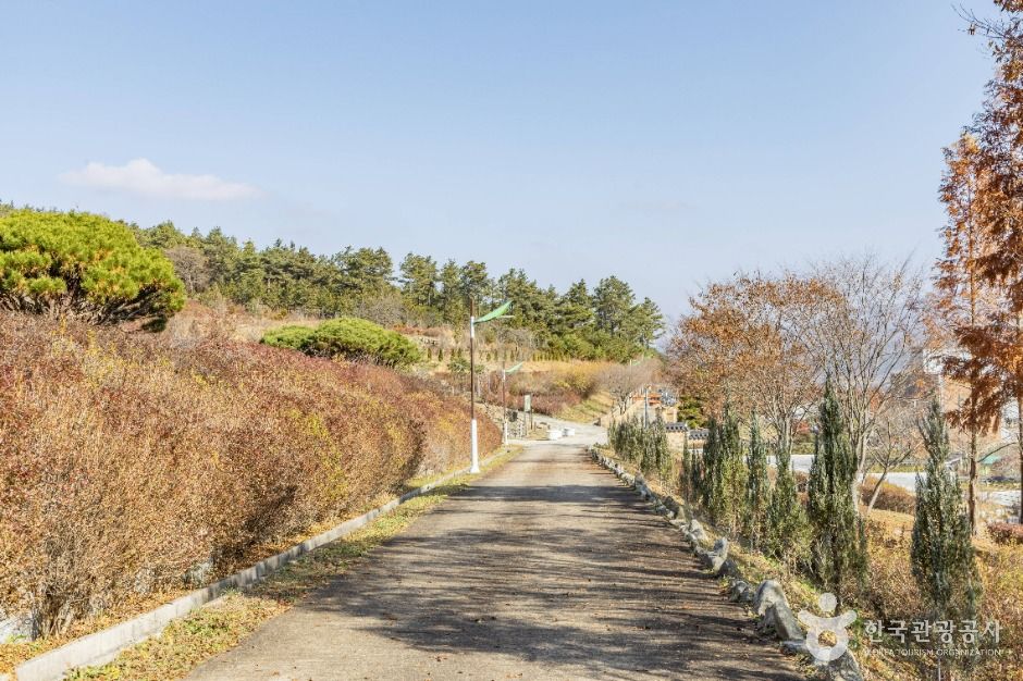 진안_고원화목원 (6)