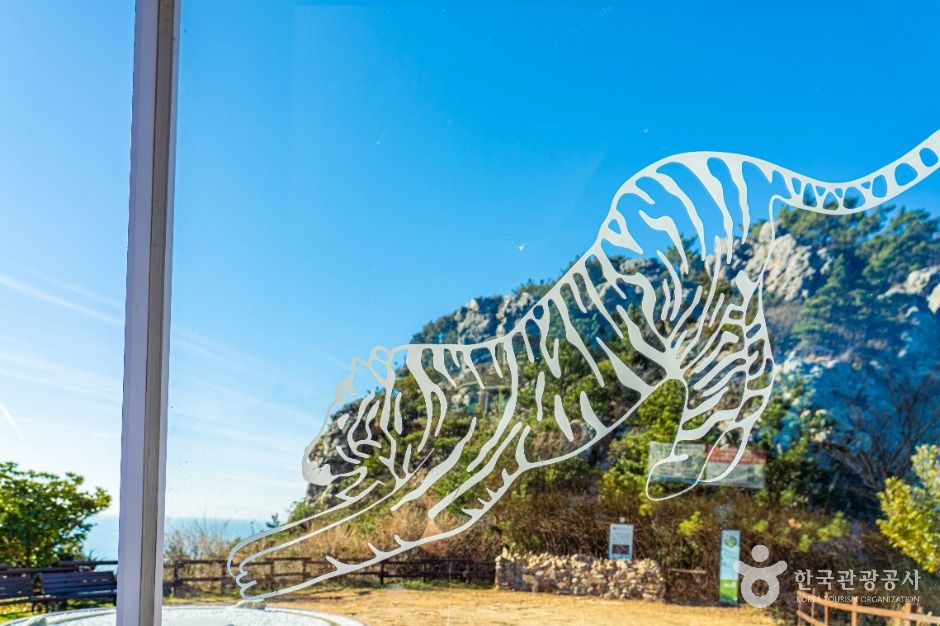 완도_범바위 (1)