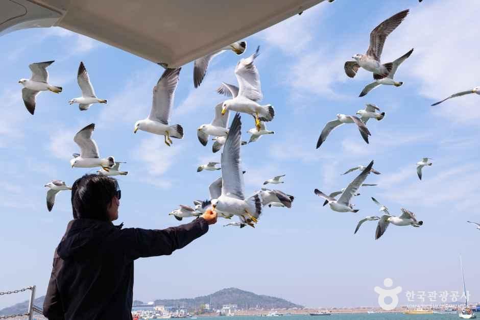 thumbnail-전곡항-12