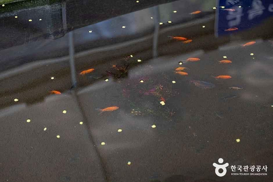 thumbnail-찬우물 체험동물농장-10