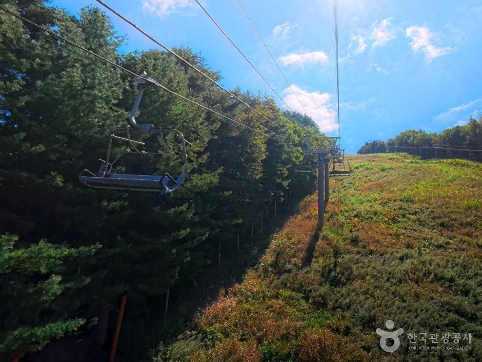 thumbnail-마운틴코스터-8