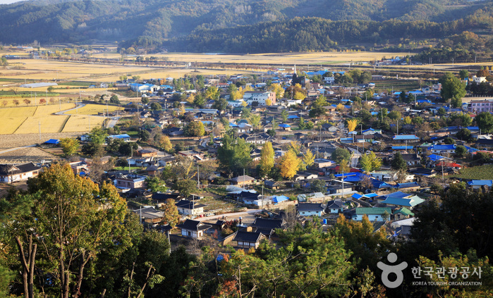 Yecheon Geumdangsil Village (예천 금당실마을)
