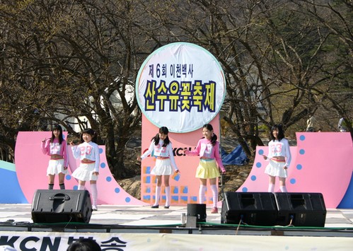 Icheon Baeksa Sansuyu Flower Festival (이천백사 산수유꽃축제)