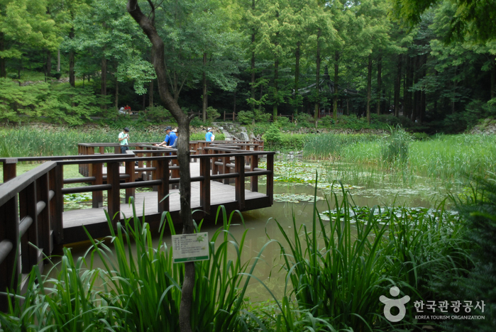 Jangtaesan Recreational Forest (장태산자연휴양림)