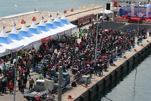 Busan Gijang Anchovy Festival (기장멸치축제)