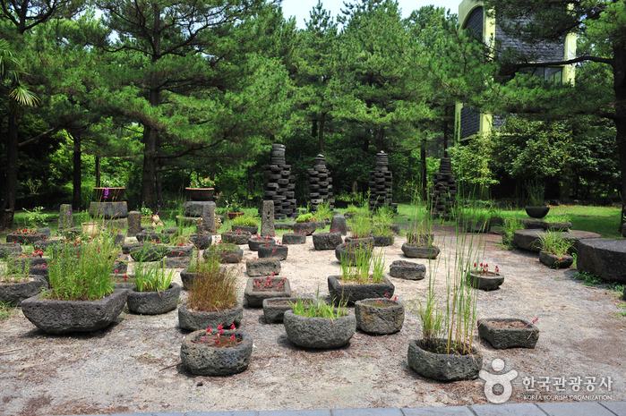 Hallim Park (한림공원)