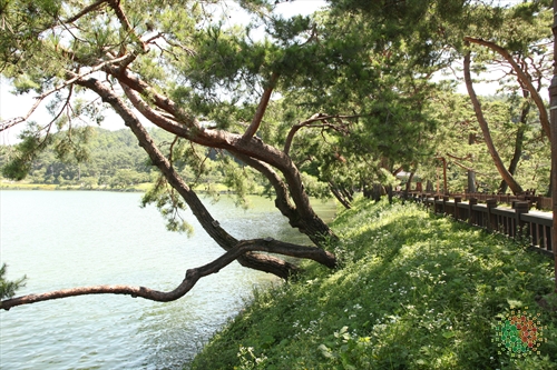 Uirimji Reservoir (제천 의림지와 제림)